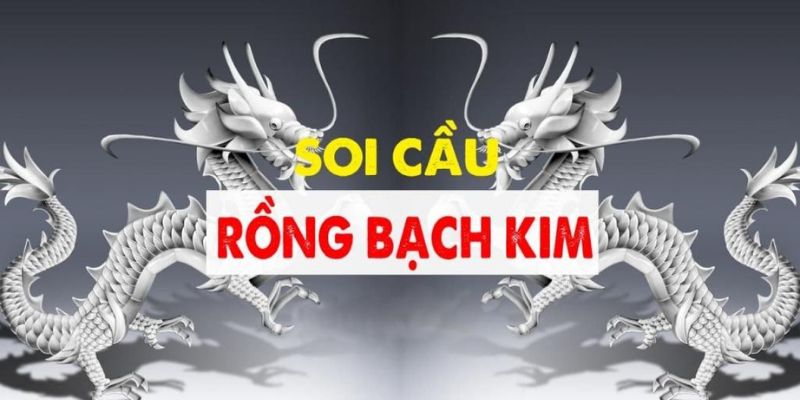 Một số cách soi cầu Rồng Bạch Kim chuẩn xác