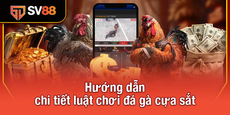 Hướng dẫn chi tiết luật chơi đá gà cựa sắt