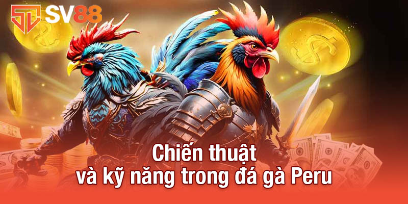 Chiến thuật và kỹ năng trong đá gà Peru